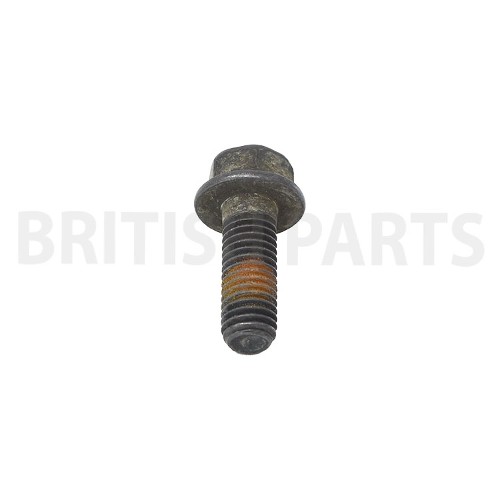 Brake Caliper Mounting Bolt JZB100060-1