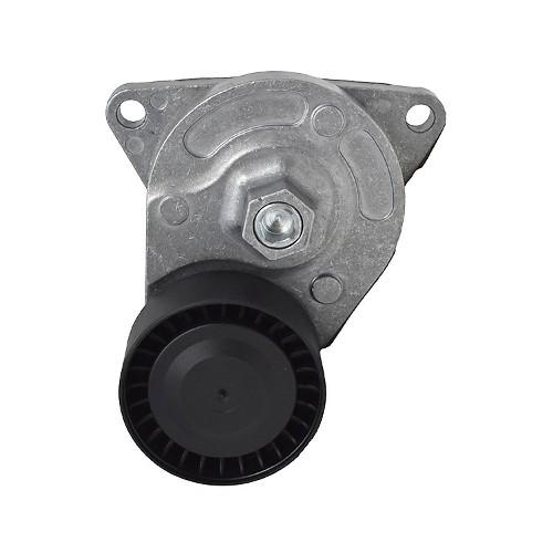 Tensioner LR022809