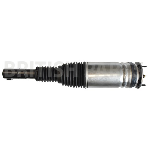 Air Spring & Shock Absorber LH