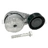 Tensioner LR079293